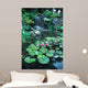 Lily pond Wall Mural
