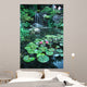 Lily pond Wall Mural