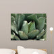 Cactus up Desert Museum Wall Mural