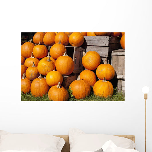 Pumpkins in a pile;Granby quebec canada Wall Mural