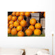 Pumpkins in a pile;Granby quebec canada Wall Mural