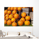 Pumpkins in a pile;Granby quebec canada Wall Mural