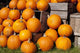 Pumpkins in a pile;Granby quebec canada Wall Mural