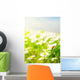Daisy Field Wall Decal Design 1