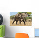 Elephant Wall Mural