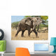 Elephant Wall Mural