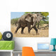 Elephant Wall Mural