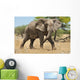 Elephant Wall Mural