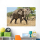 Elephant Wall Mural