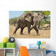 Elephant Wall Mural