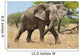 Elephant Wall Mural