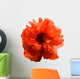 Red popy. Wall Decal