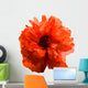Red popy. Wall Decal