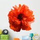 Red popy. Wall Decal