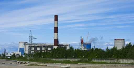 Thermoelectric Plant Wall Decal
