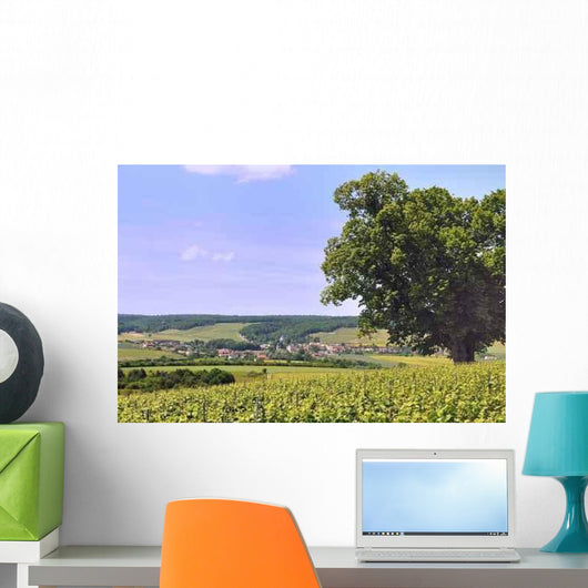 Bligny Seen from Lime Wall Decal