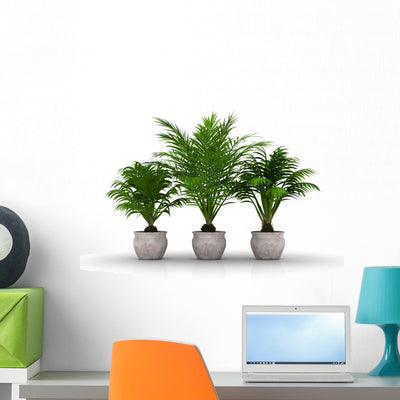3 Flower Pots with Wall Decal shown on a wall