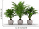 3 flower pots with palm trees Wall Decal