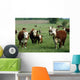 baby hereford calf Wall Mural