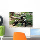 Giant Pandas Wall Mural