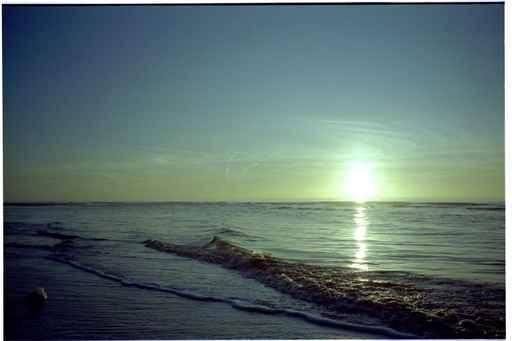 Sunset Coast Wall Decal