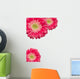 Pink Gerber Daisies with Water Drops on White Wall Decal