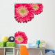 Pink Gerber Daisies with Water Drops on White Wall Decal
