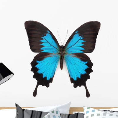 Blue Butterfly Wall Decal shown on a wall