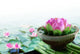 Spa still life Wall Mural