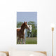 Mare and Foal