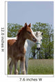 Mare and Foal