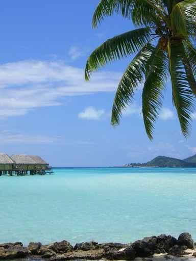 Une Plage D'un Hotel Wall Decal