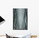Large Arched Glass And Metal Domed Ceiling Wall Mural