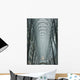 Large Arched Glass And Metal Domed Ceiling Wall Mural