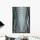 Large Arched Glass And Metal Domed Ceiling Wall Mural