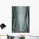 Large Arched Glass And Metal Domed Ceiling Wall Mural