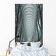 Large Arched Glass And Metal Domed Ceiling Wall Mural
