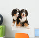 Two Bernese Puppies Wall Decal