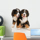 Two Bernese Puppies Wall Decal
