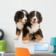 Two Bernese Puppies Wall Decal