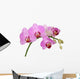 orchid Wall Decal