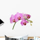 orchid Wall Decal
