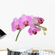 orchid Wall Decal