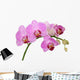 orchid Wall Decal
