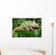 Lazy Chameleon Wall Decal
