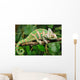 Lazy Chameleon Wall Decal