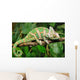Lazy Chameleon Wall Decal