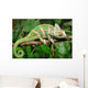 Lazy Chameleon Wall Decal