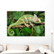 Lazy Chameleon Wall Decal
