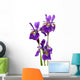 IRIS sibirica Wall Decal